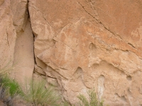 Fremont Petroglyphs